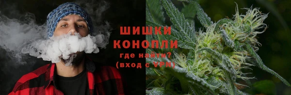 МДПВ Богданович