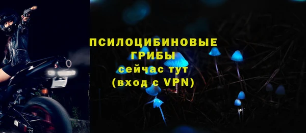 ALPHA PVP Тобольск