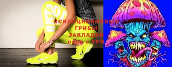 jwh Белокуриха